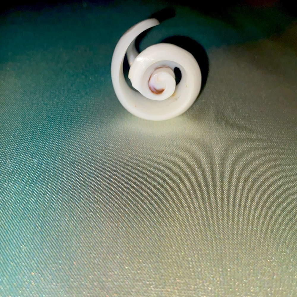 Unique seashell ring size 5.5